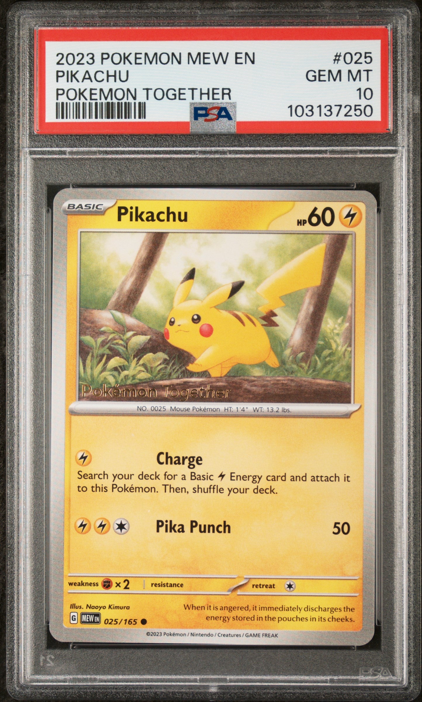 PSA 10 PIKACHU POKEMON TOGETHER