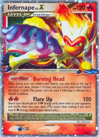 Built for collectors, not guesswork