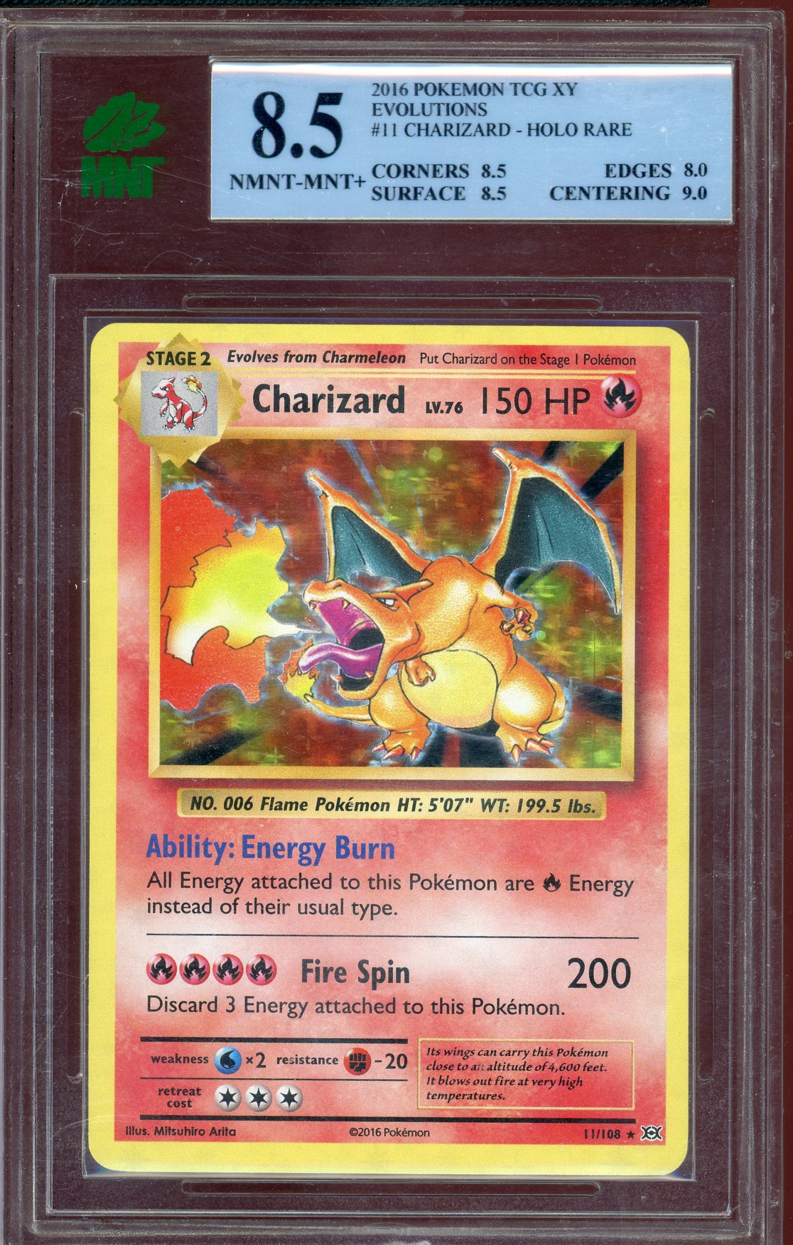 MNT 8.5 CHARIZARD XY EVOLUTIONS