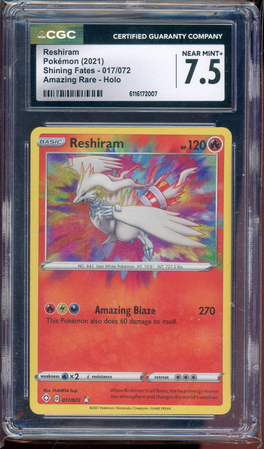 Built for collectors, not guesswork