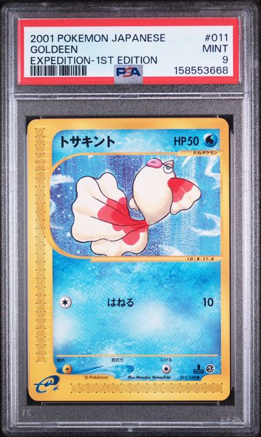 Built for collectors, not guesswork