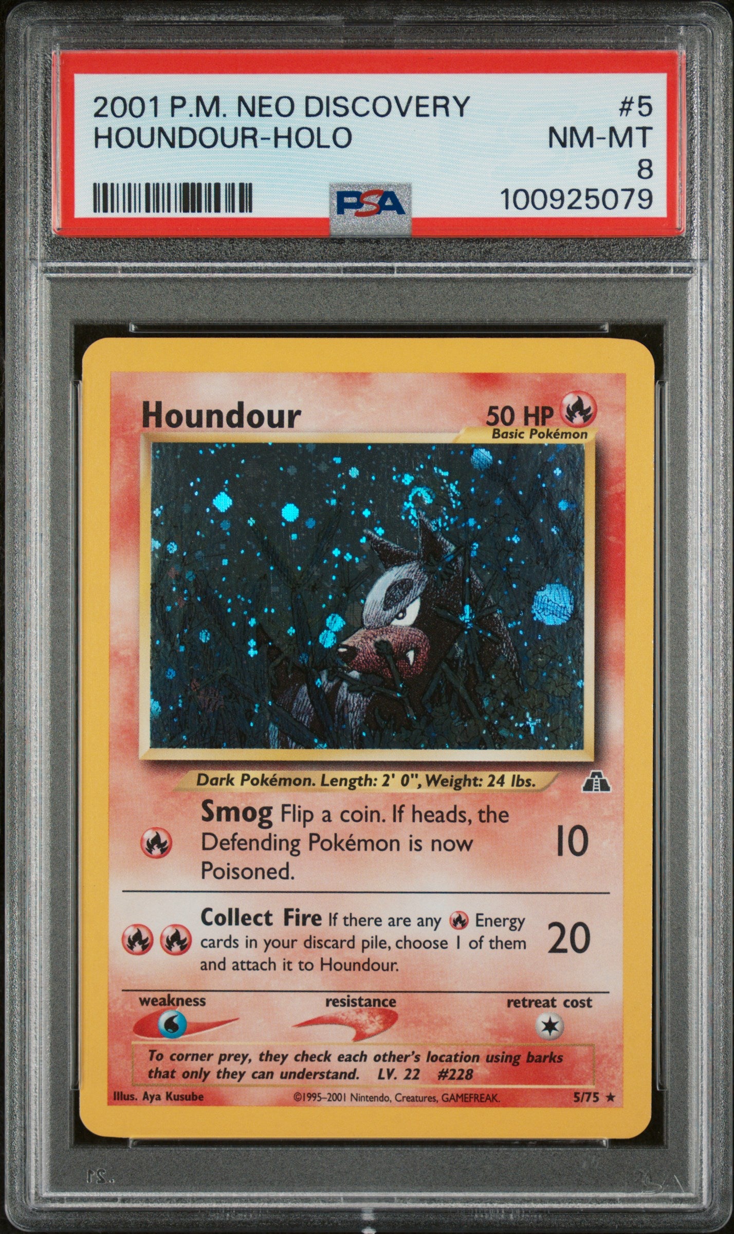 PSA 8 HOUNDOUR-HOLO  