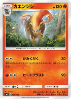 Pyroar 005/038 - smI FlareonGX VaporeonGX & JolteonGX Starter Sets  (Japanese)