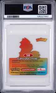 PSA Card Back