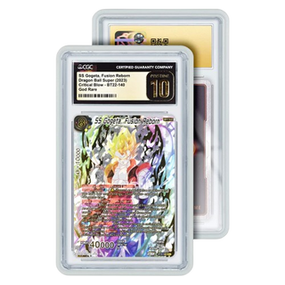 Standard Guarded Guards (CGC)
