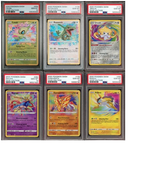 Pokémon Amazing Rare Collection – 6 PSA 10 Graded Cards – Rayquaza, Jirachi, Celebi, Raikou, Zacian & Zamazenta