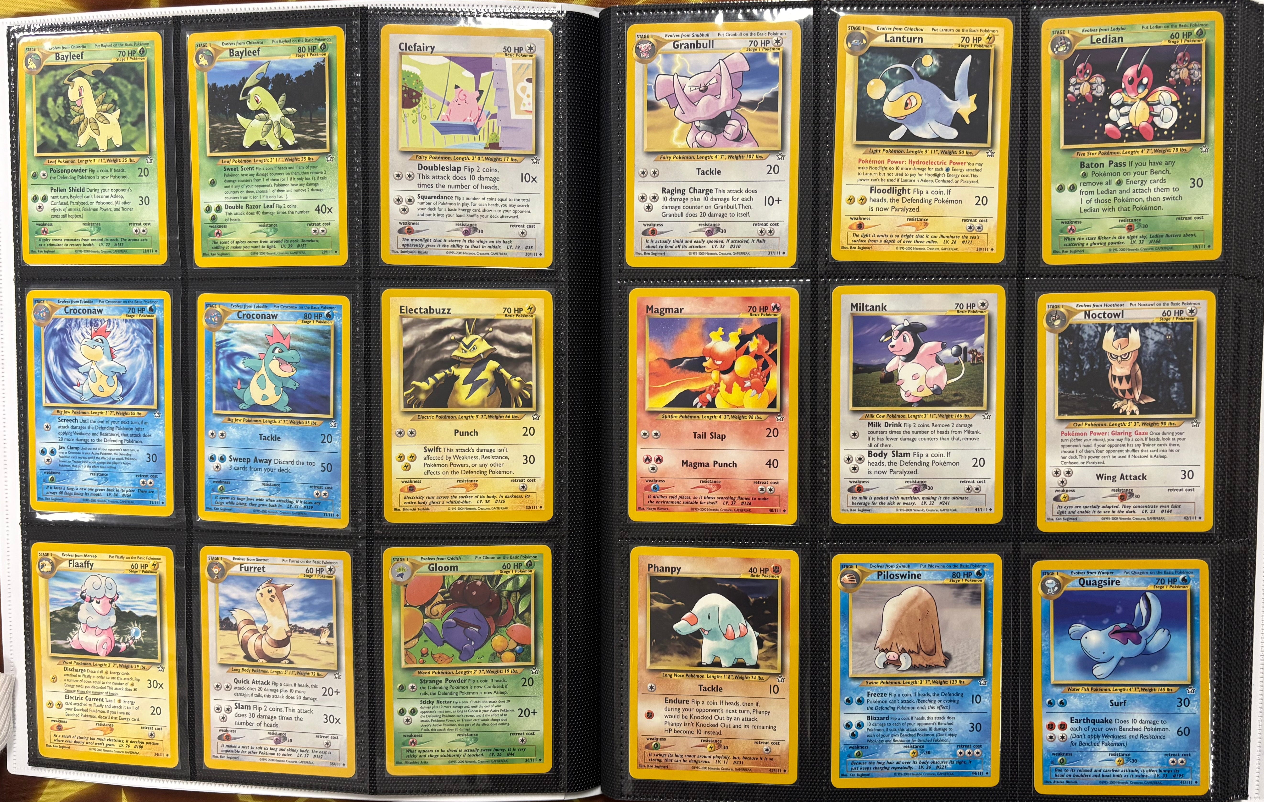 Master Set Neo Genesis