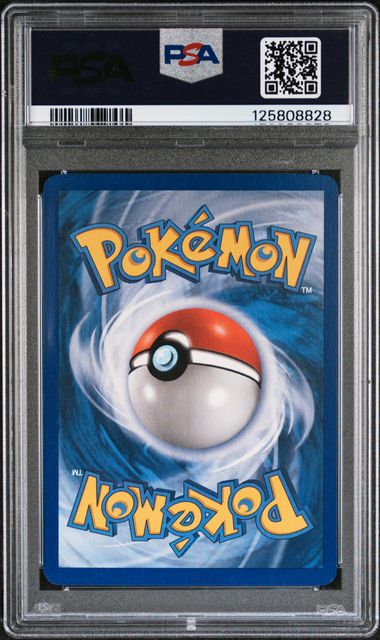 PSA 8 GROUDON ex COLLECTOR'S TIN PROMO