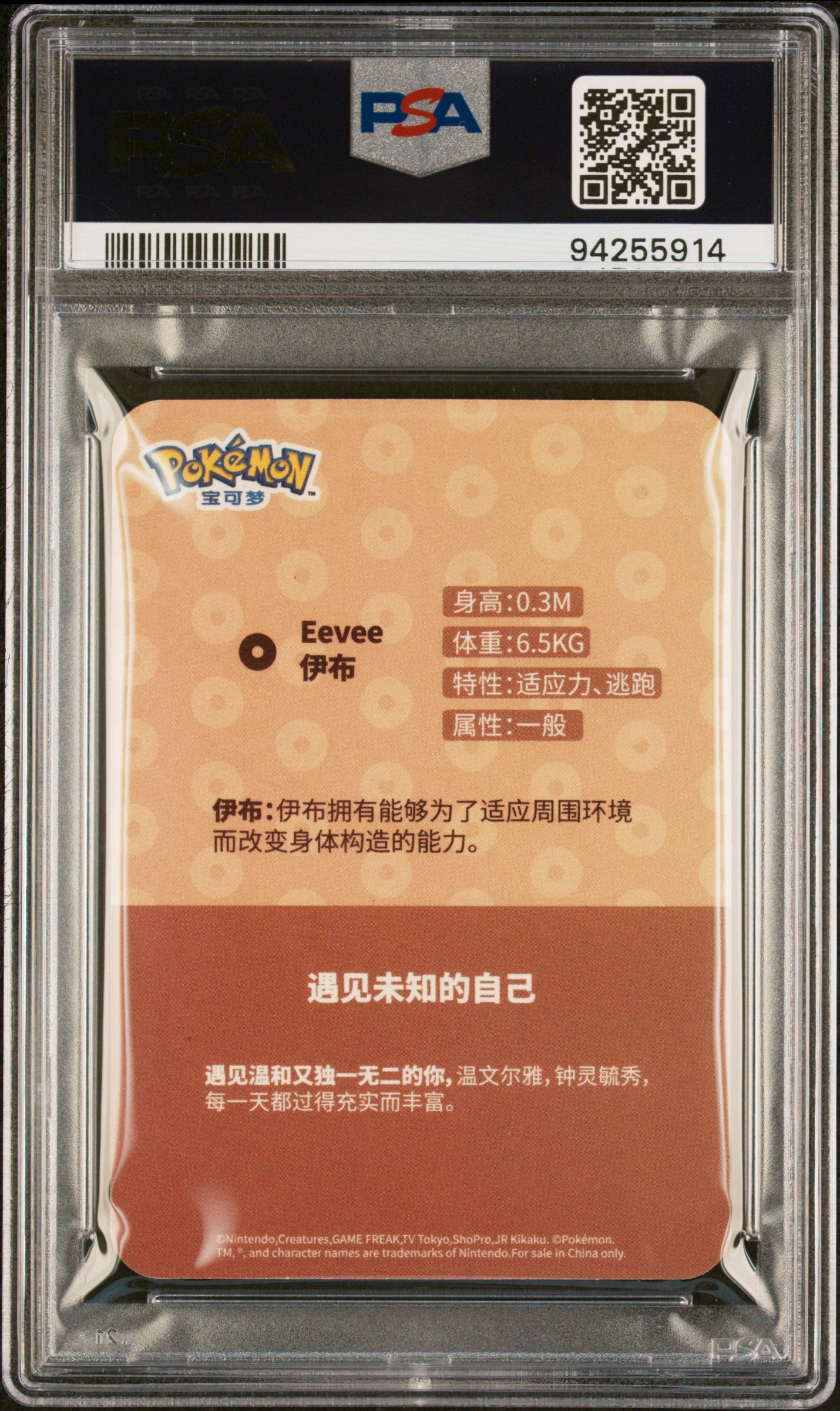 PSA 10 EEVEE EEVEE EVOLUTION M/F CARD