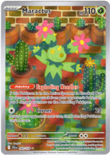 Maractus 160/159