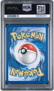 PSA 8 RAICHU HOLO SKYRIDGE