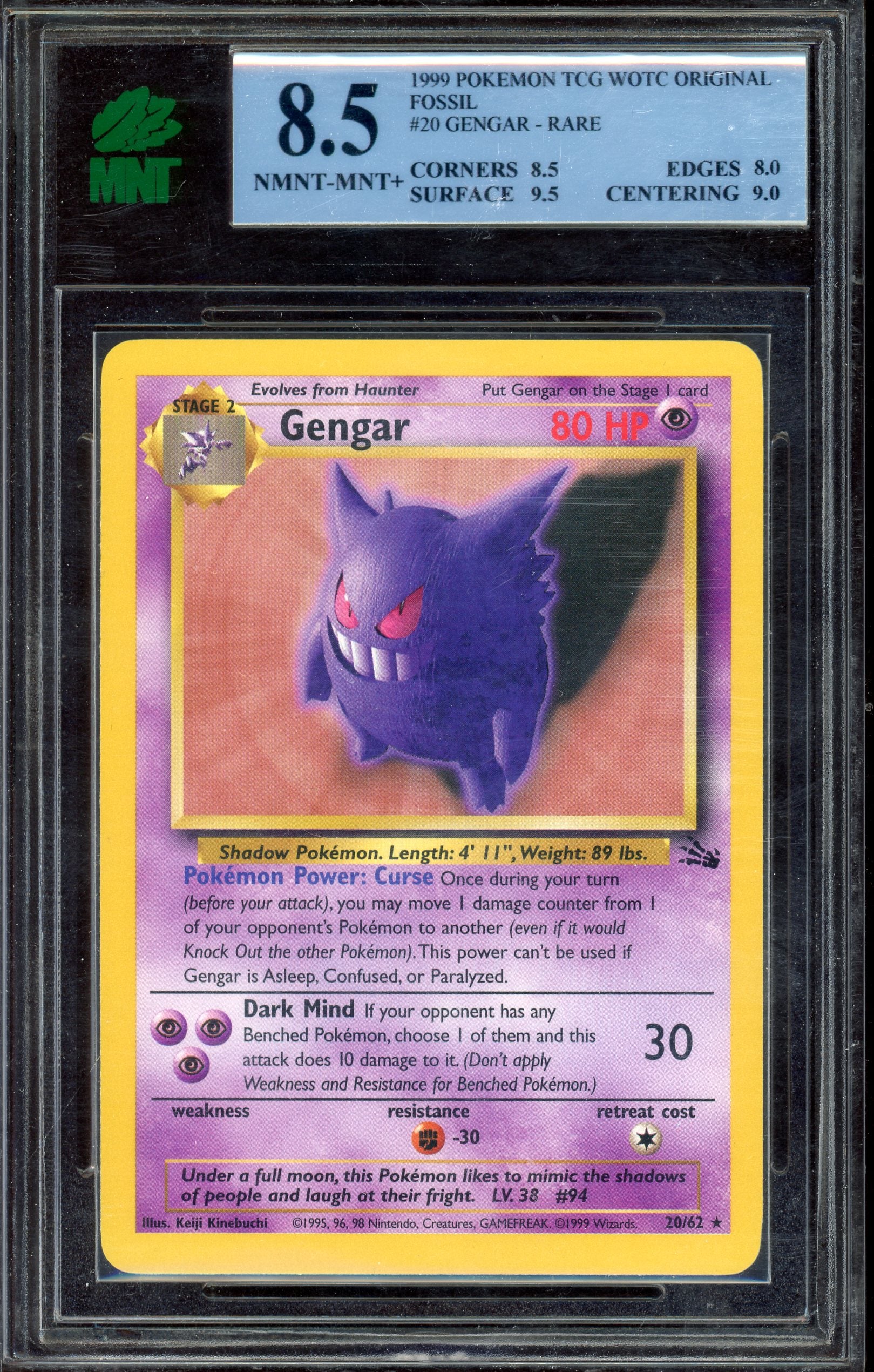MNT 8.5 GENGAR FOSSIL