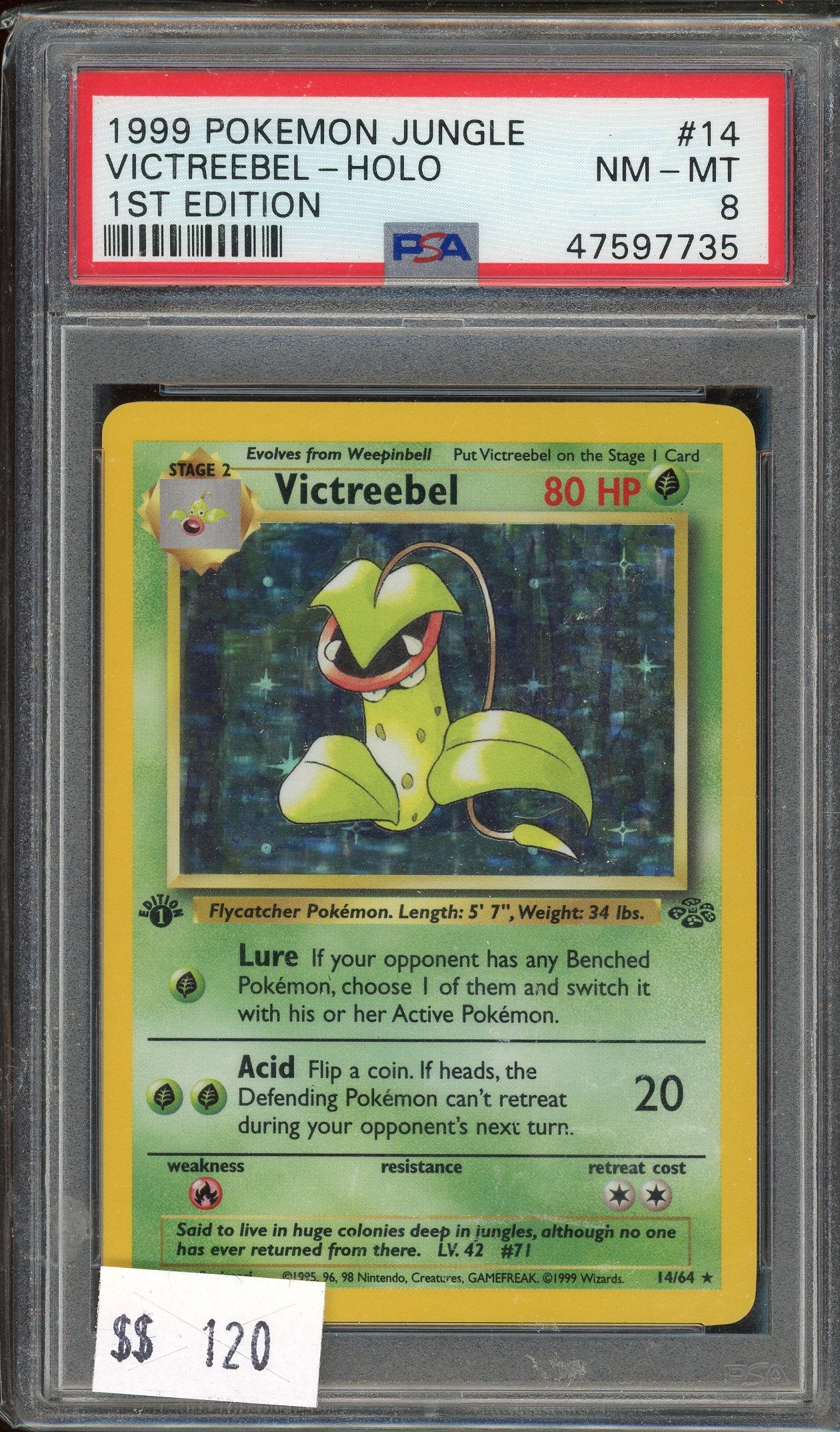 PSA 8 VICTREEBEL-HOLO 1ST EDITION