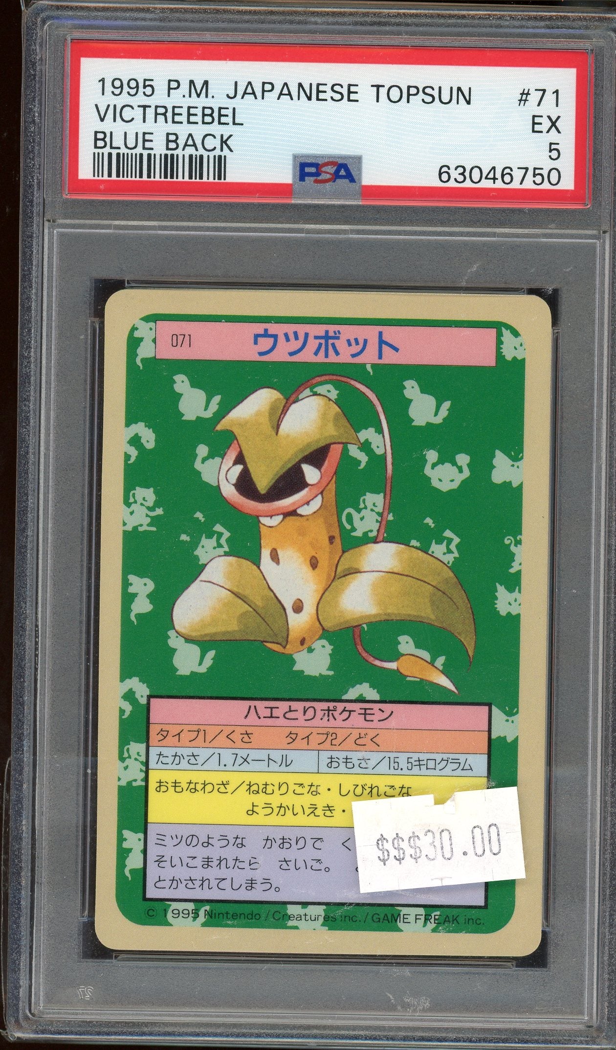 PSA 5 VICTREEBEL BLUE BACK