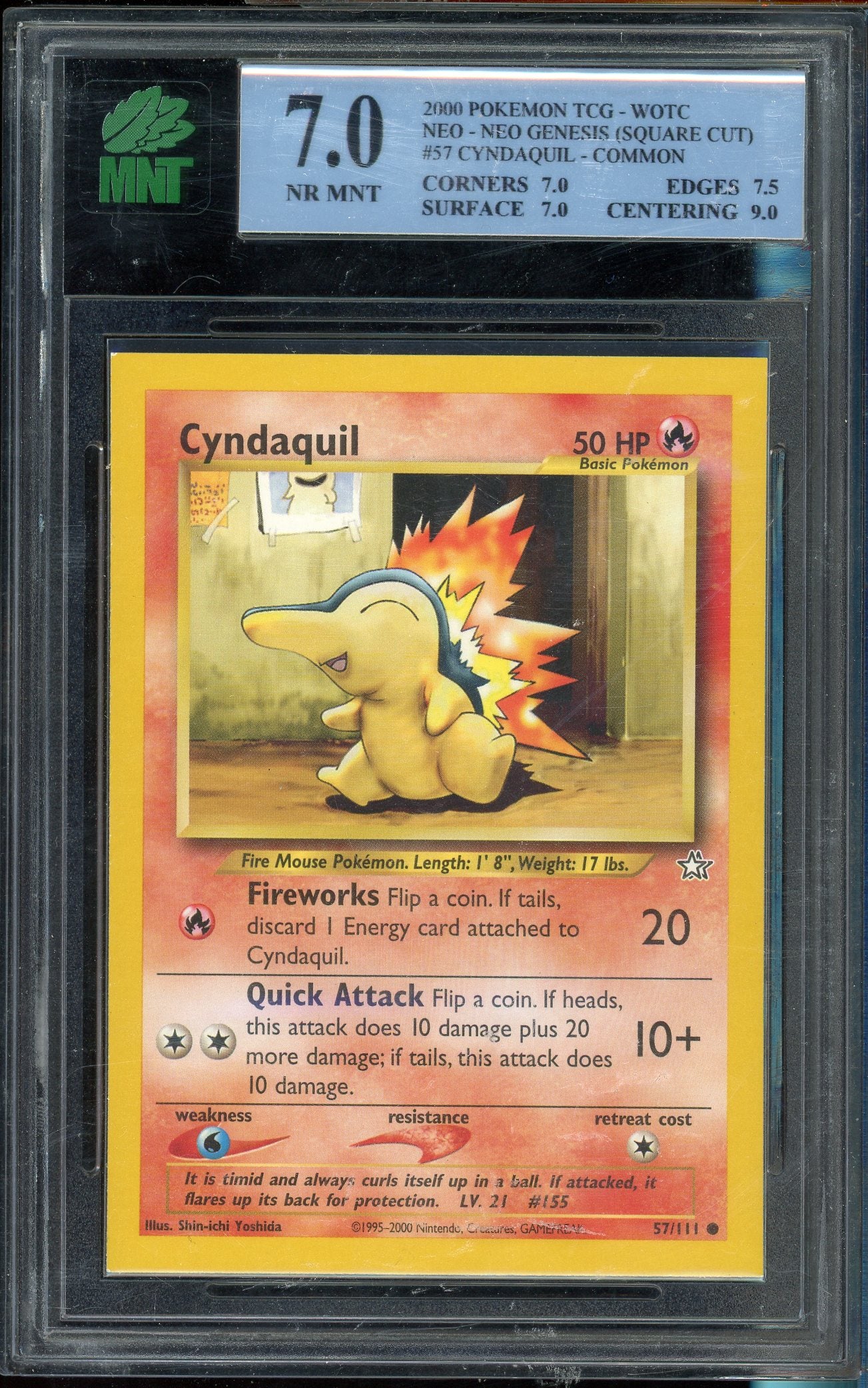 MNT 7 CYNDAQUIL - COMMON