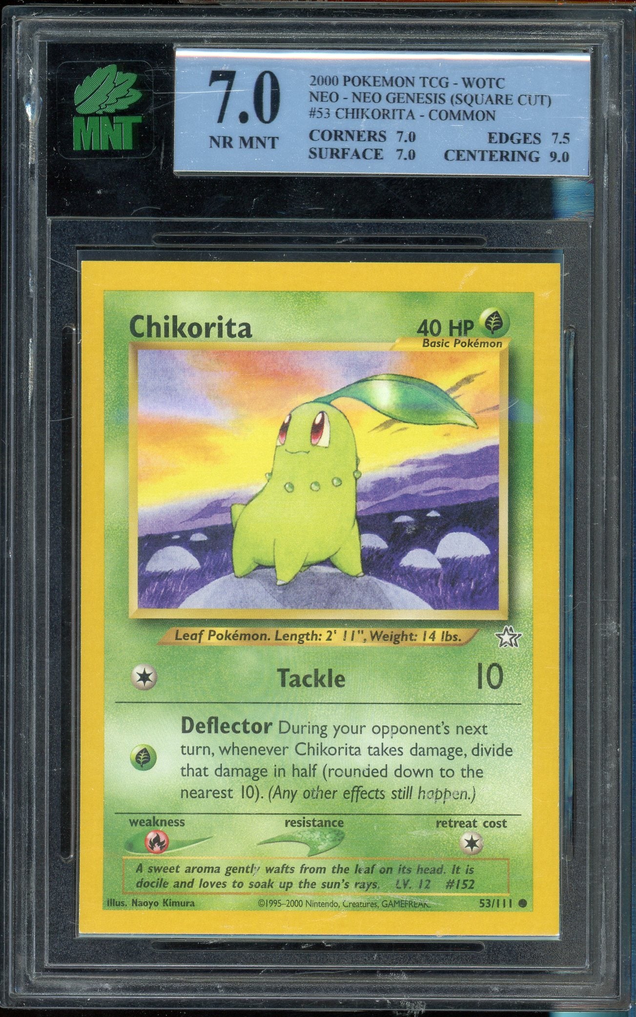 MNT 7 CHIKORITA - COMMON