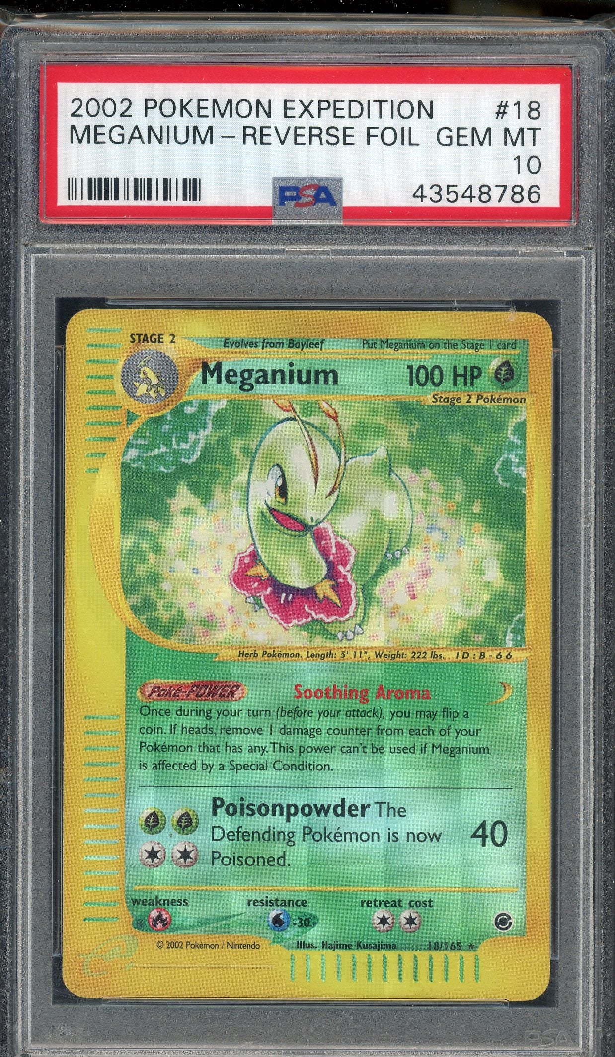 PSA 10 MEGANIUM-REV.FOIL