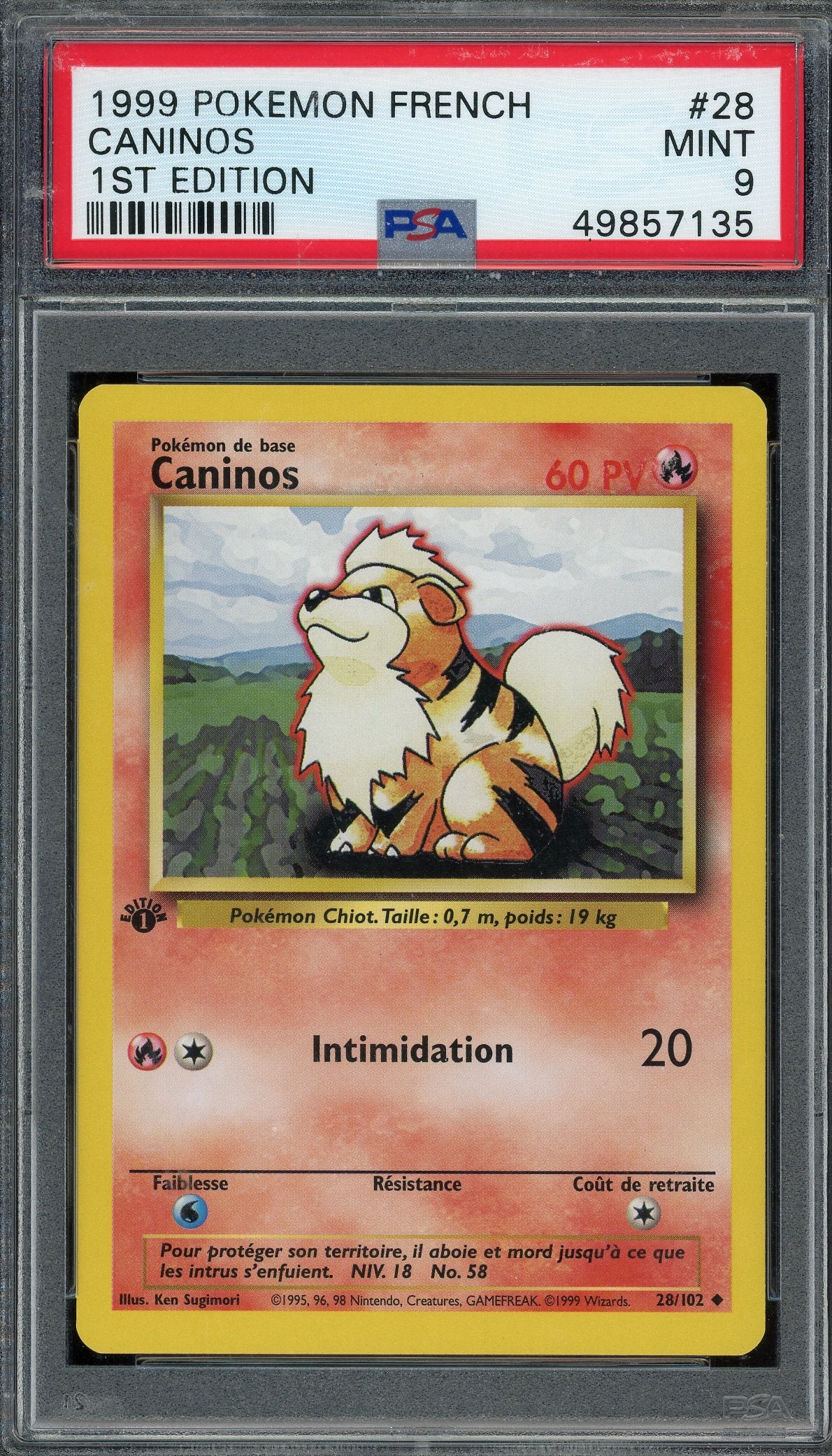 PSA 9 CANINOS 1ST EDITION